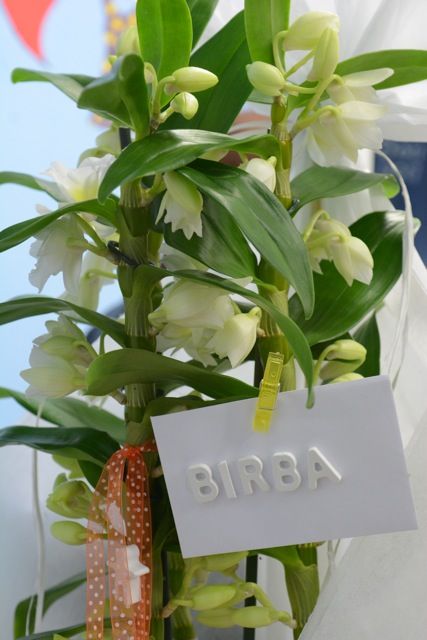 Un nuovo punto vendita La Birba in Veneto!